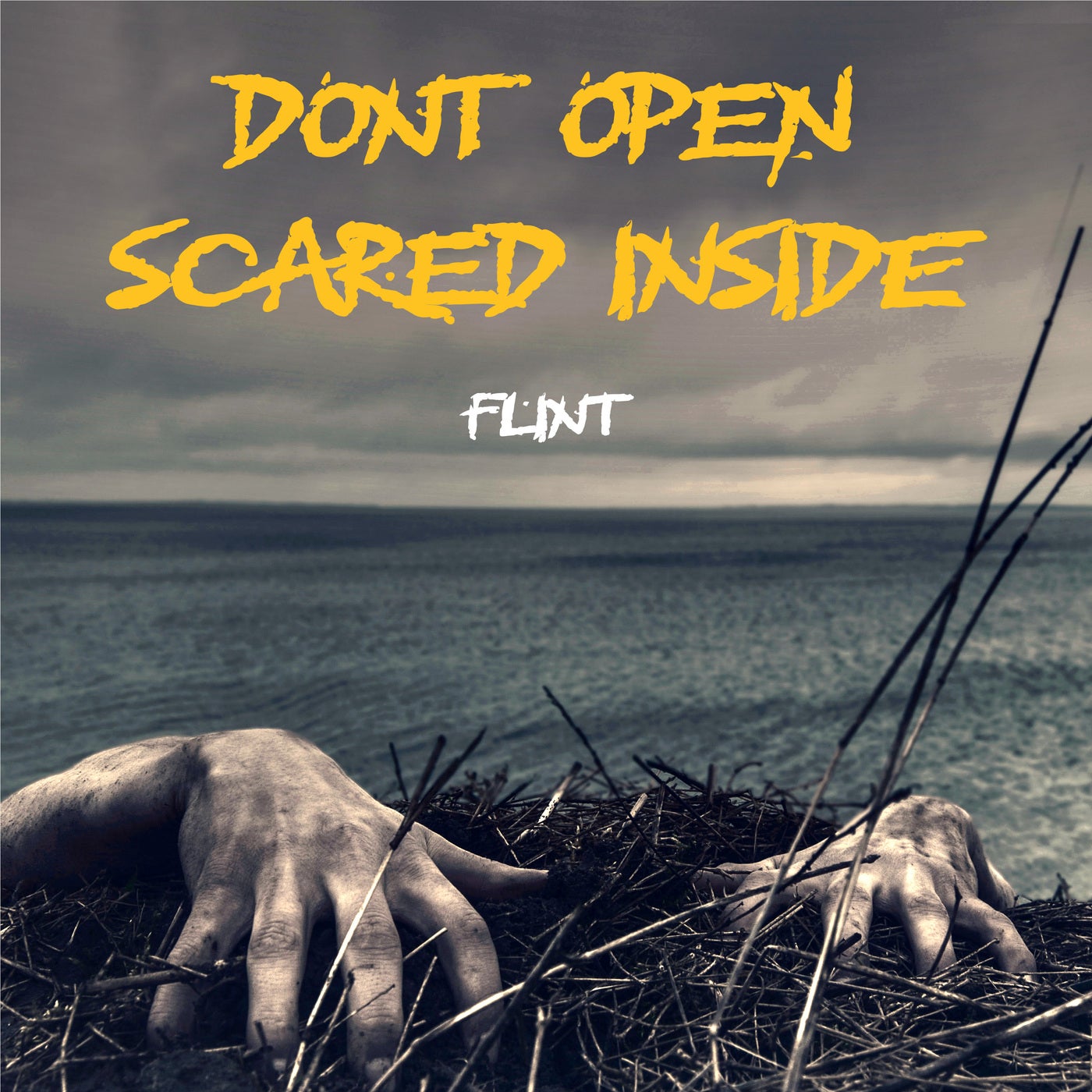 Don't Open Scared Inside