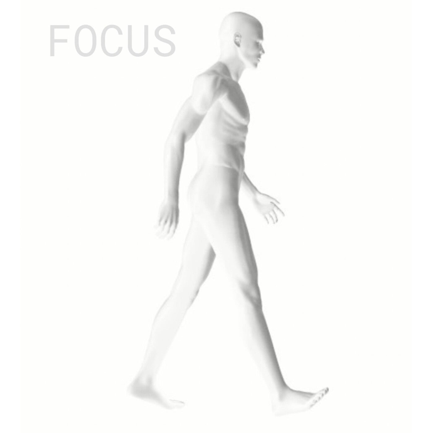 Focus