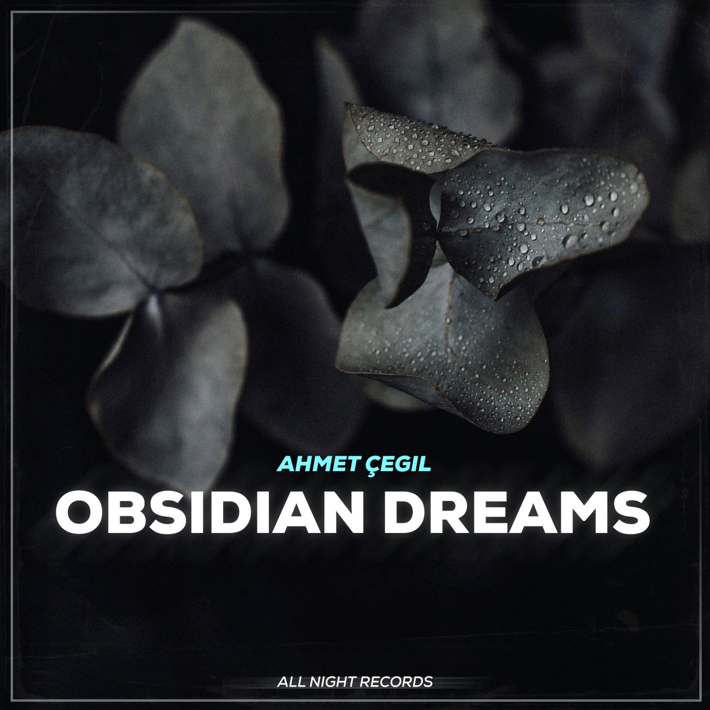Obsidian Dreams