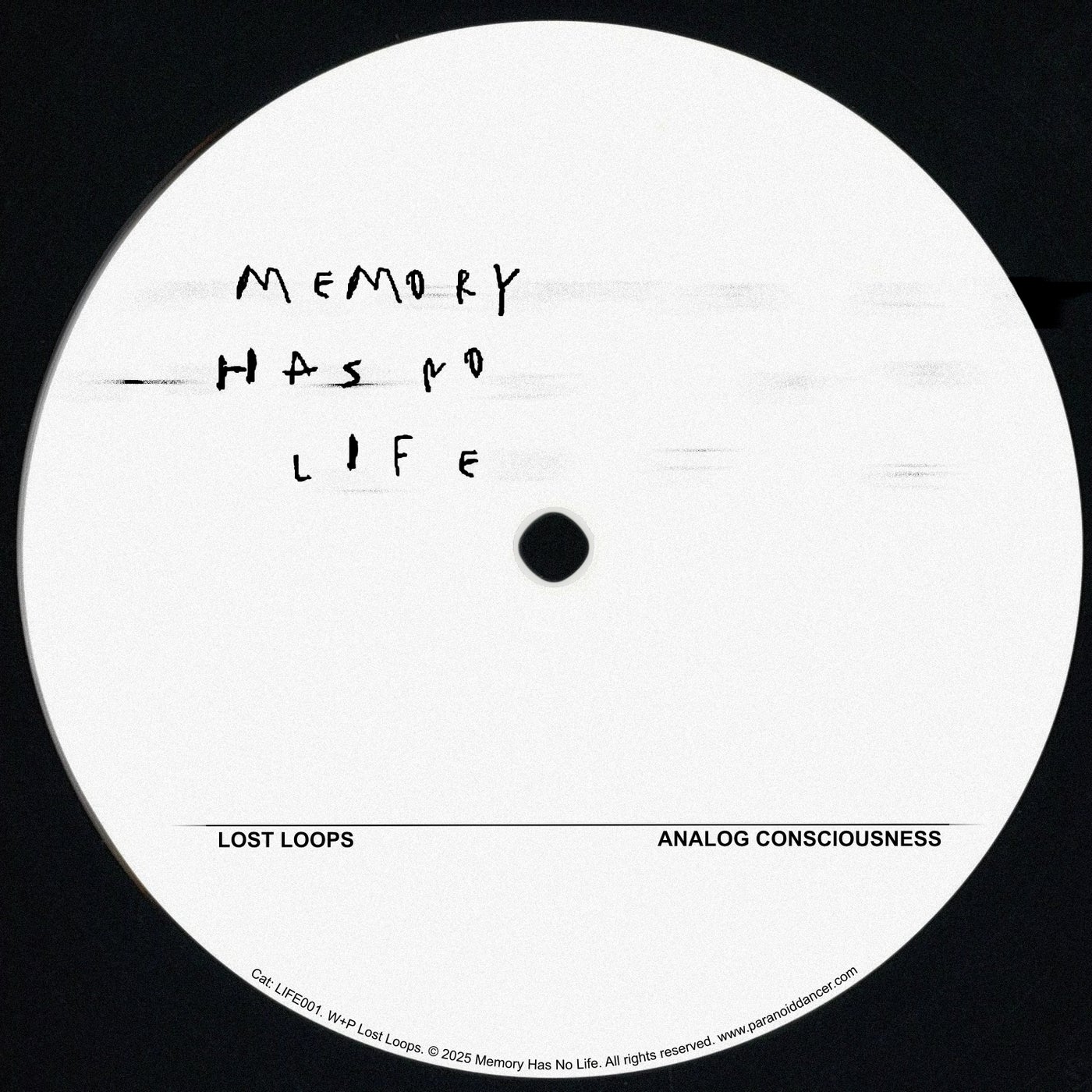Analog Consciousness