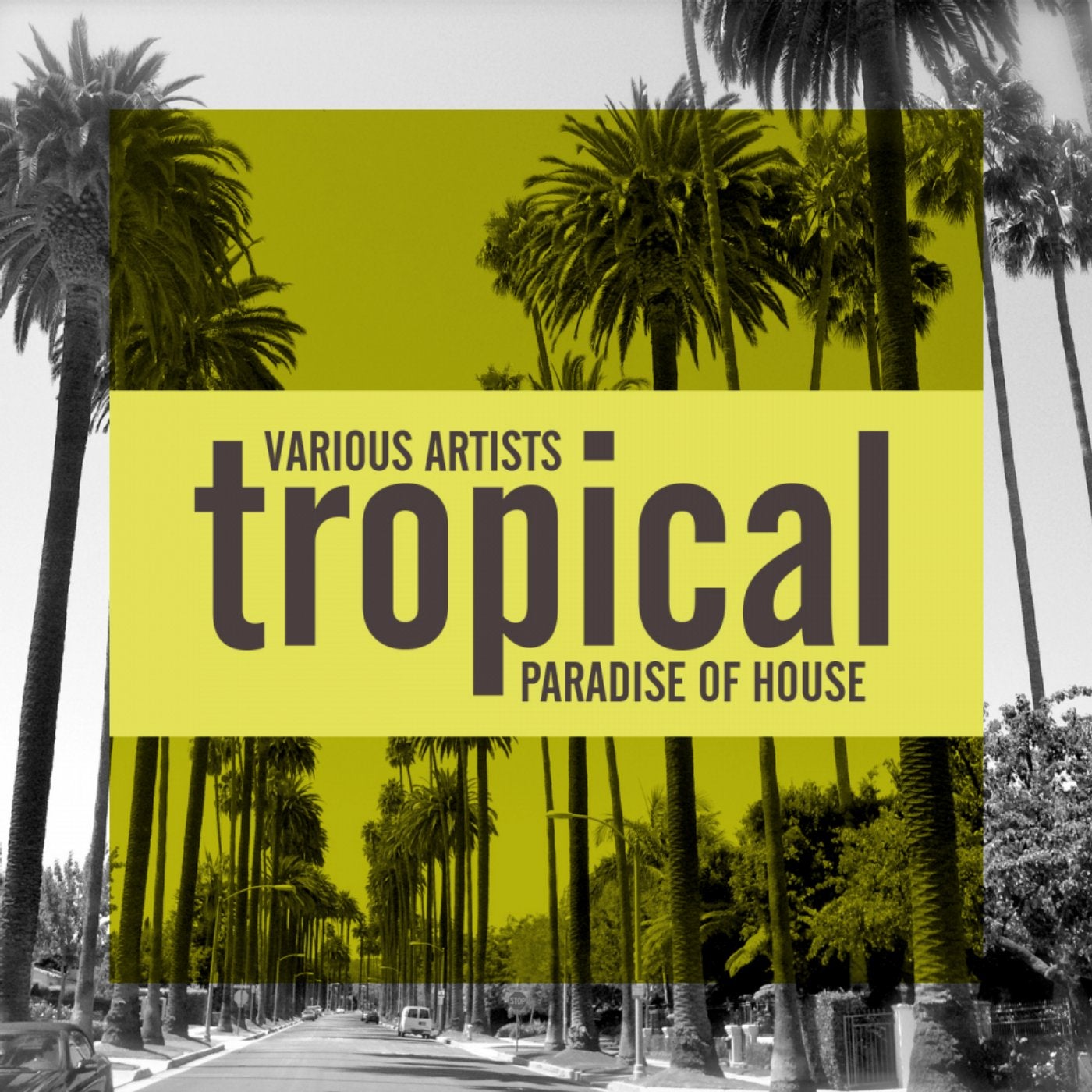 Tropical Paradise Of House