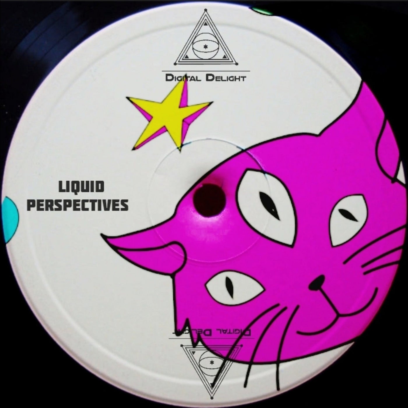 Liquid Perspectives