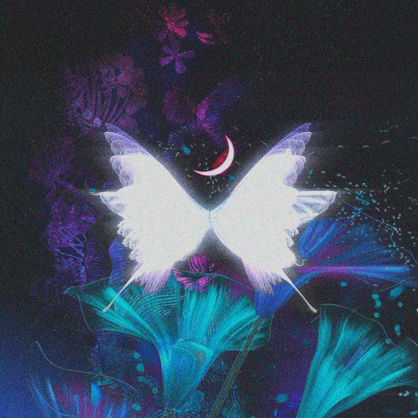 Euphoria