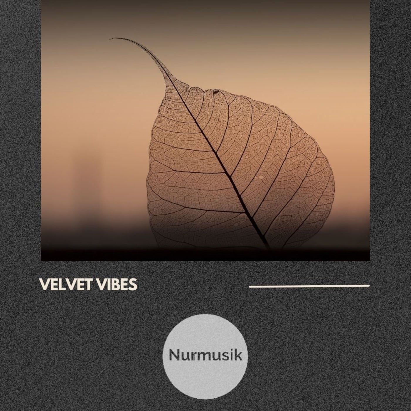 Velvet Vibes