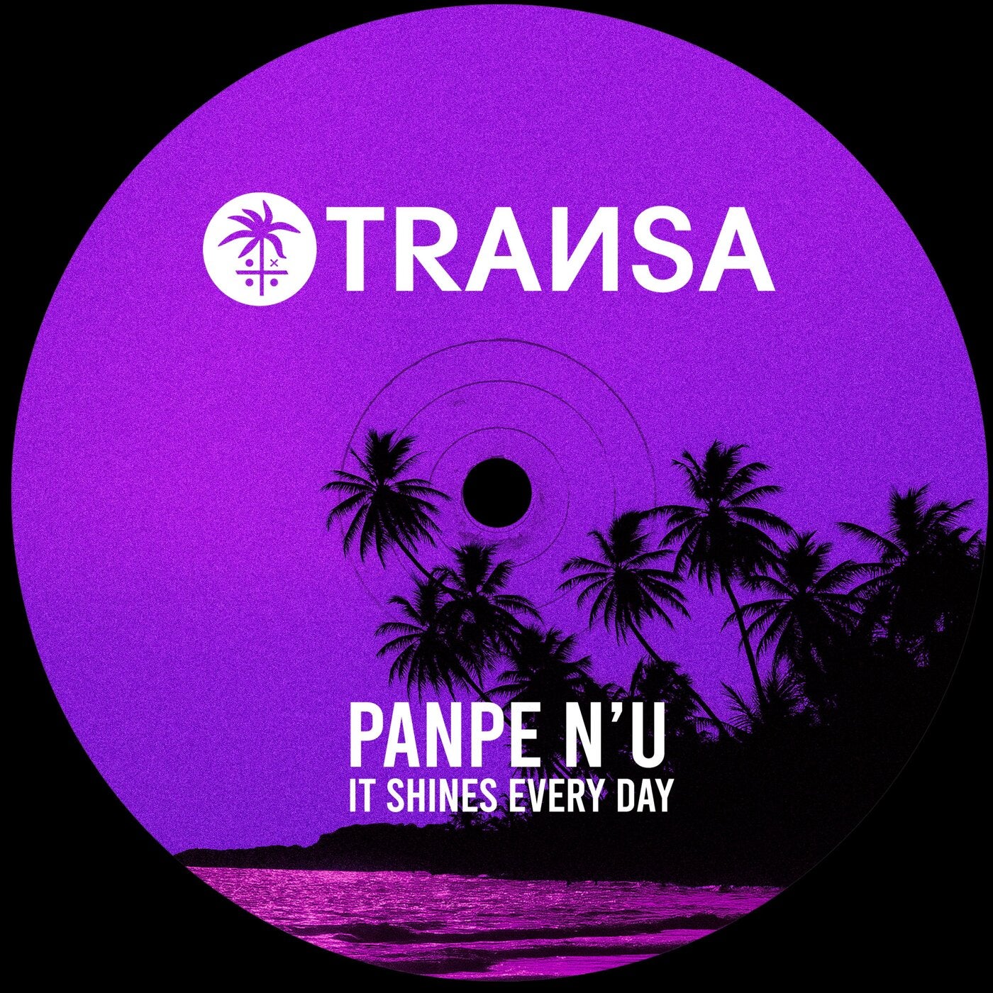 Cover art for It Shine Every Day