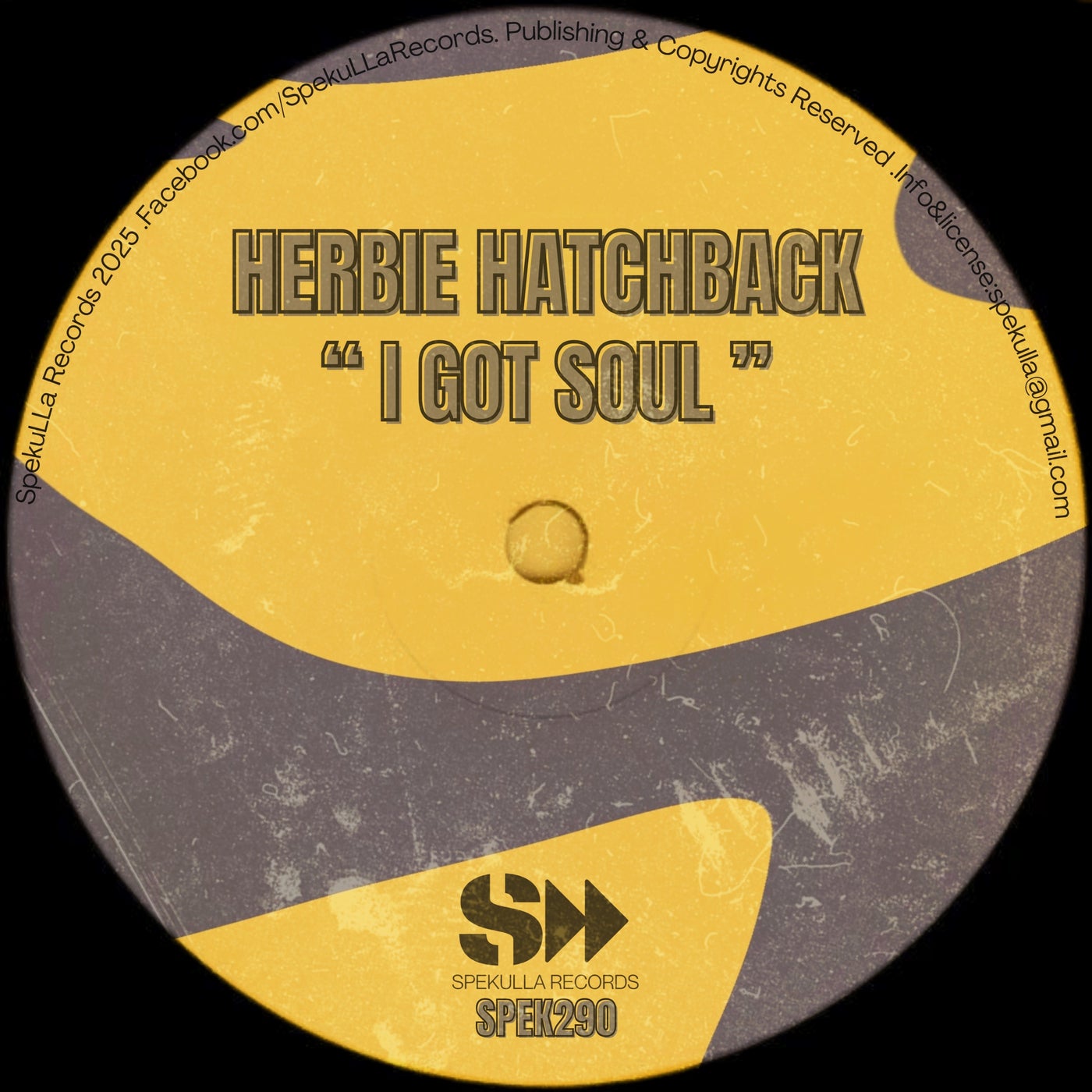I Got Soul