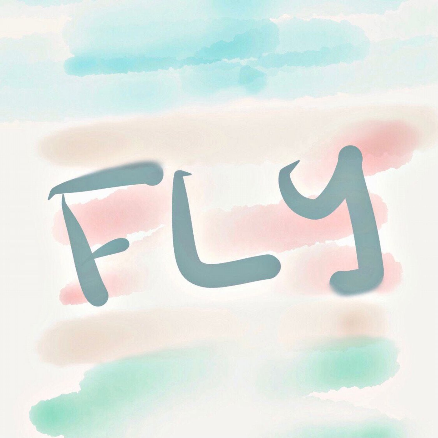 Fly