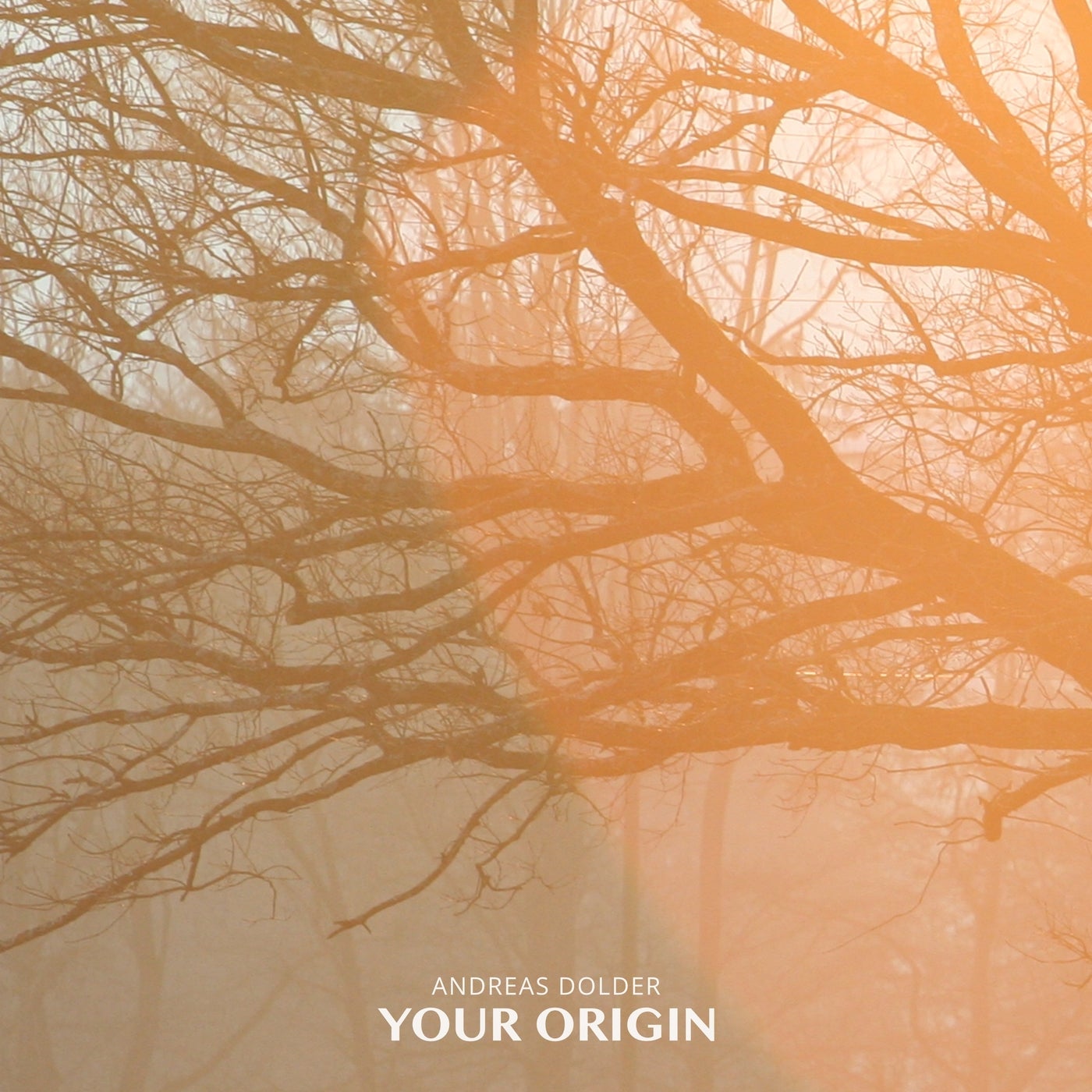 Your Origin