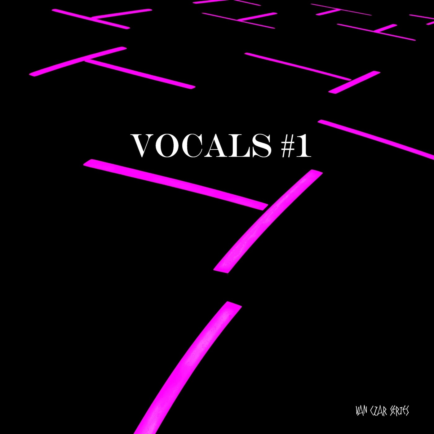 Vocals #1 - Mixed by Disco Van