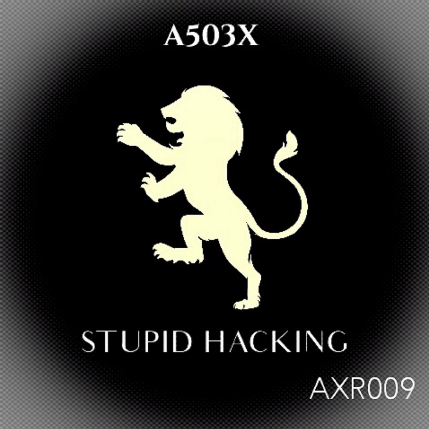 Stupid Hacking