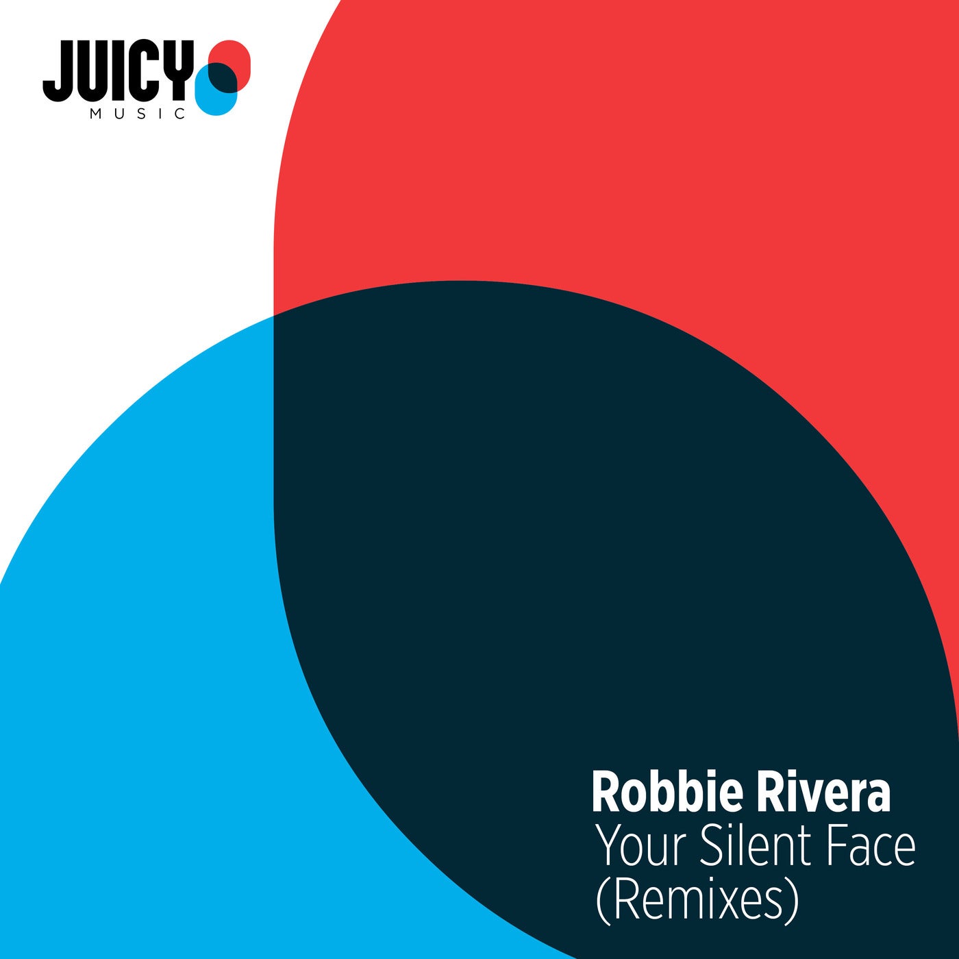 Your Silent Face - Remixes