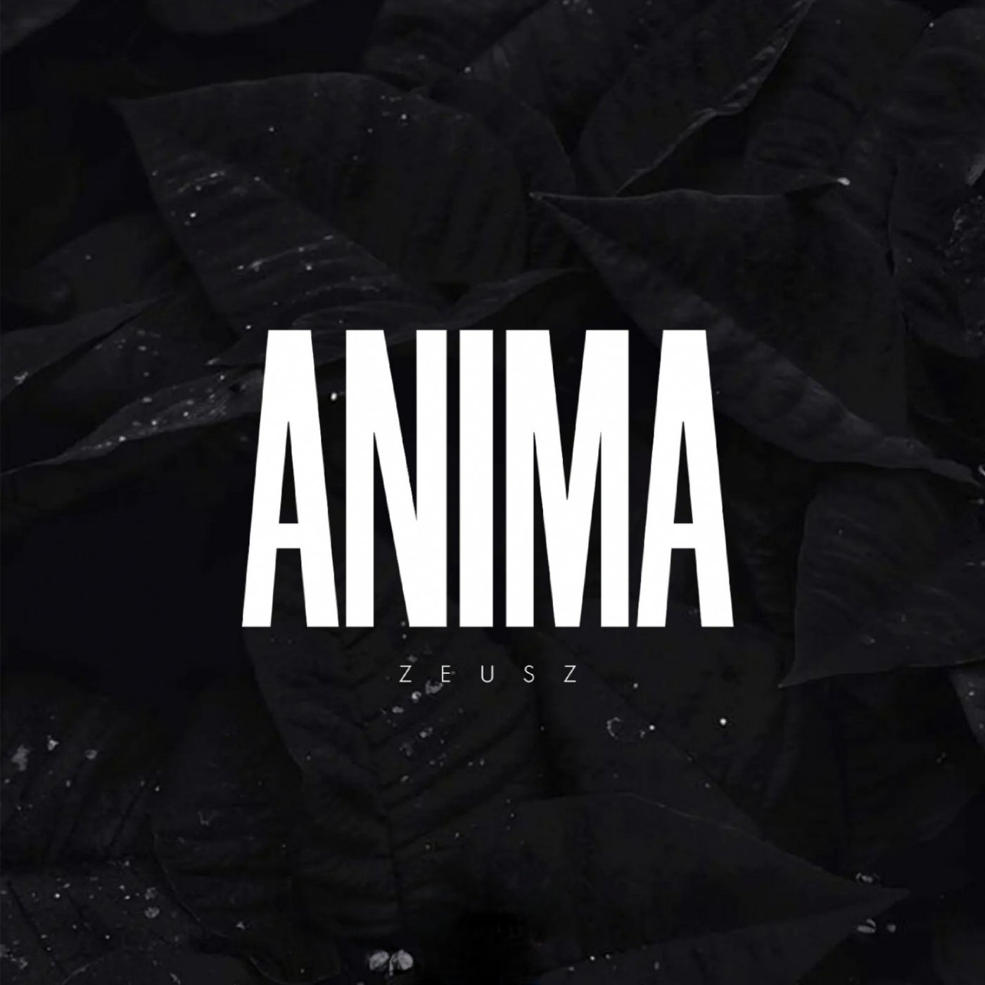 Anima