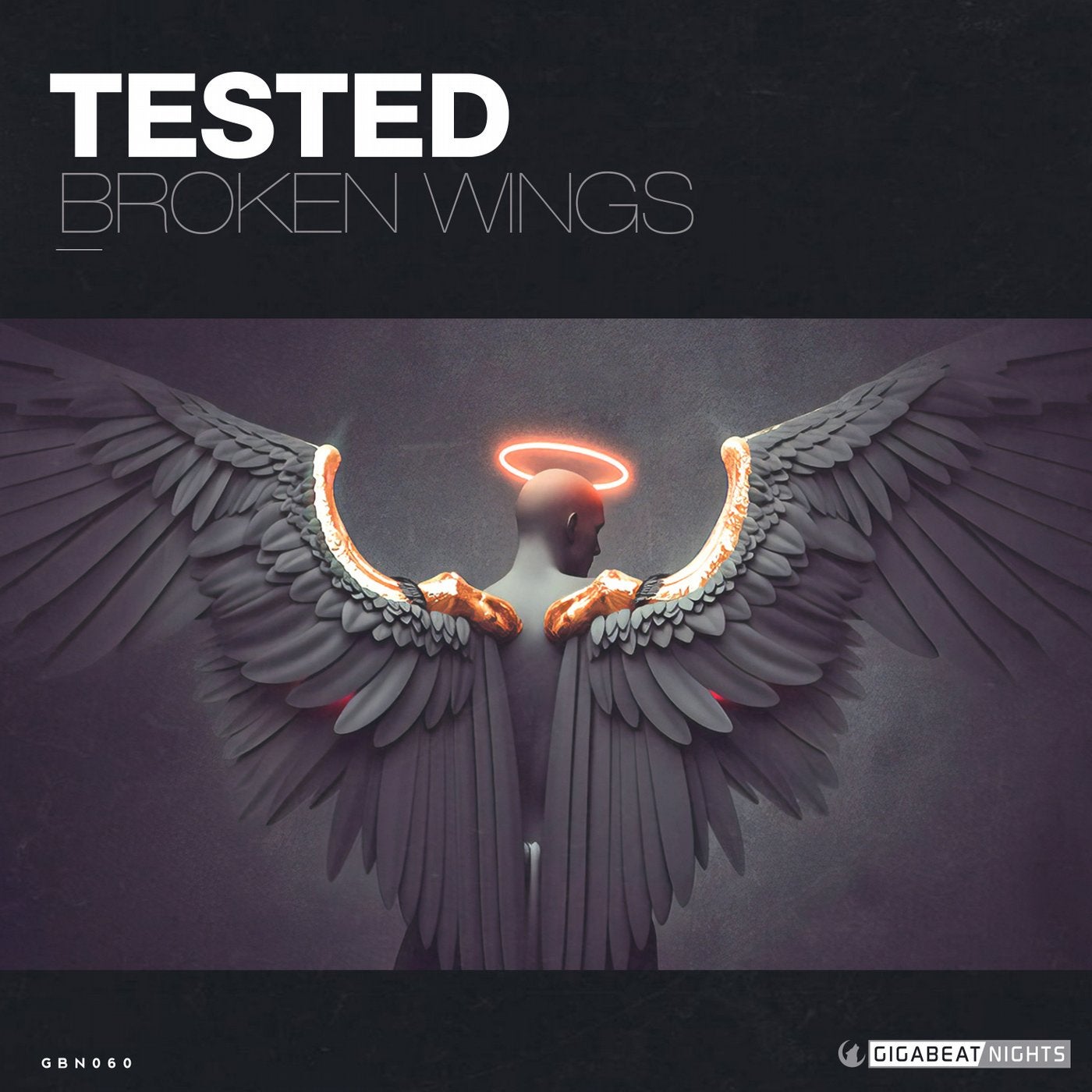 BROKEN WINGS