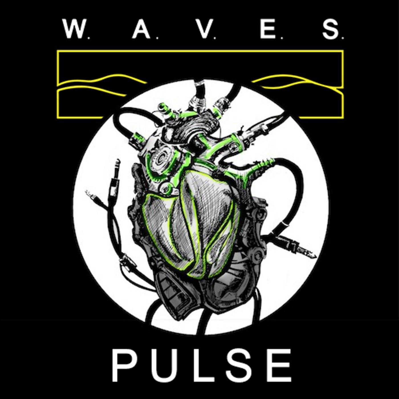 Pulse