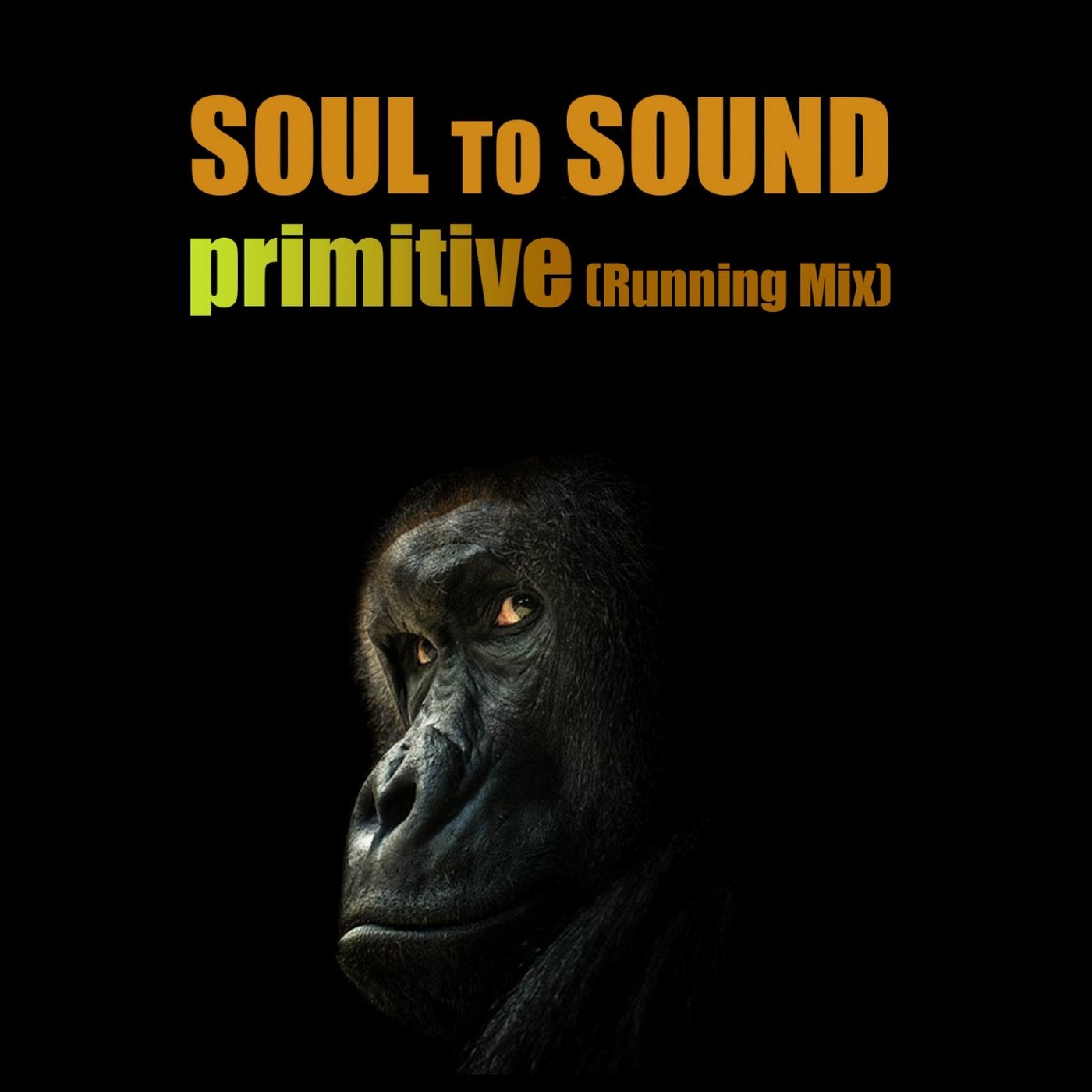 Primitive (Running Mix)