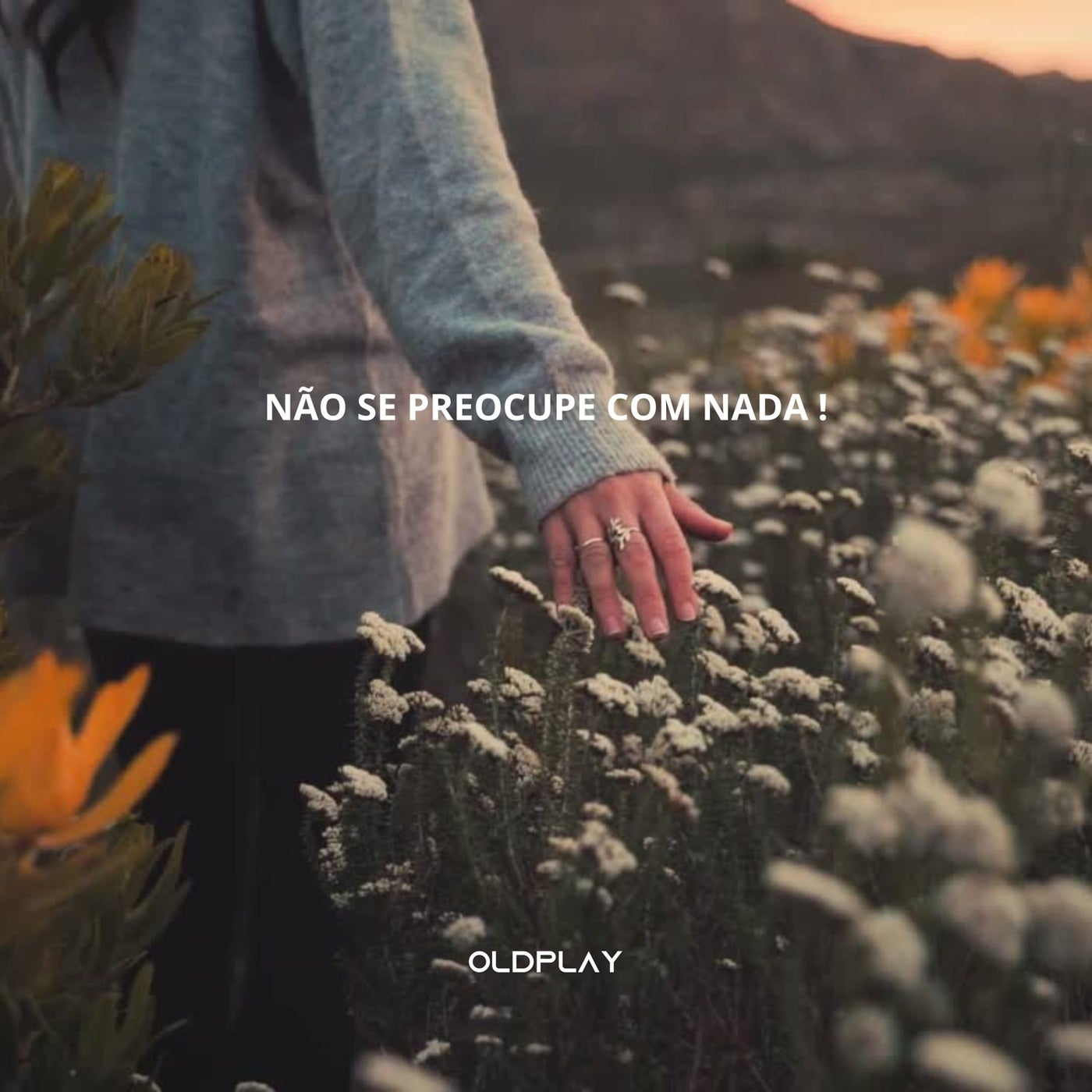 Não Se Preocupe Com Nada!
