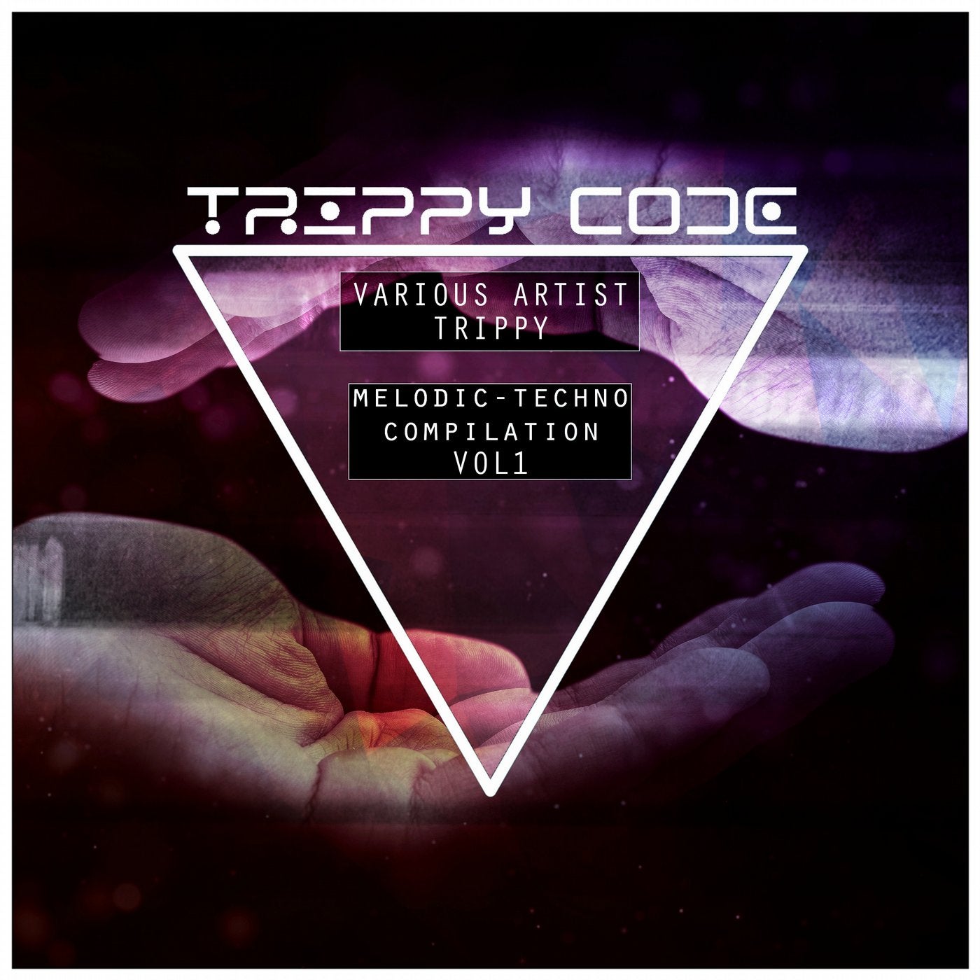 Trippy Melodic Techno Compilation Vol 1.