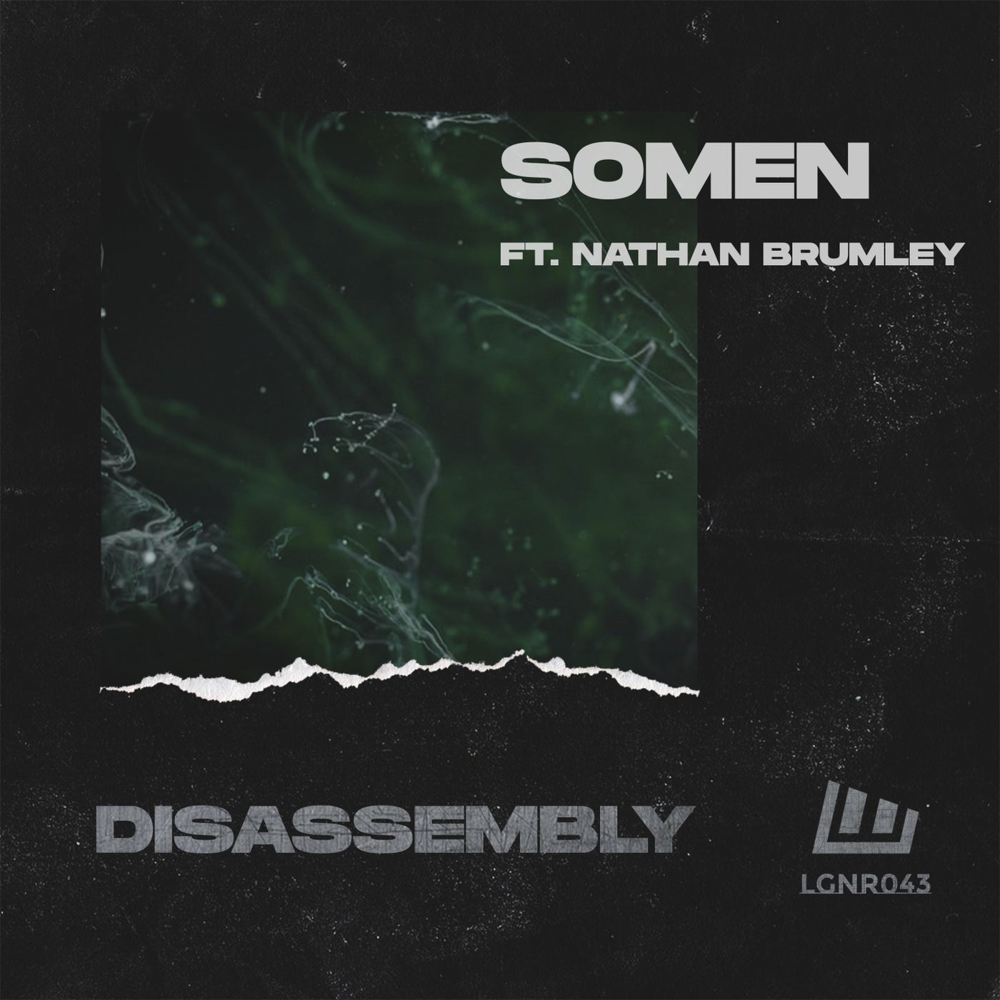 Disassembly (feat. Nathan Brumley)