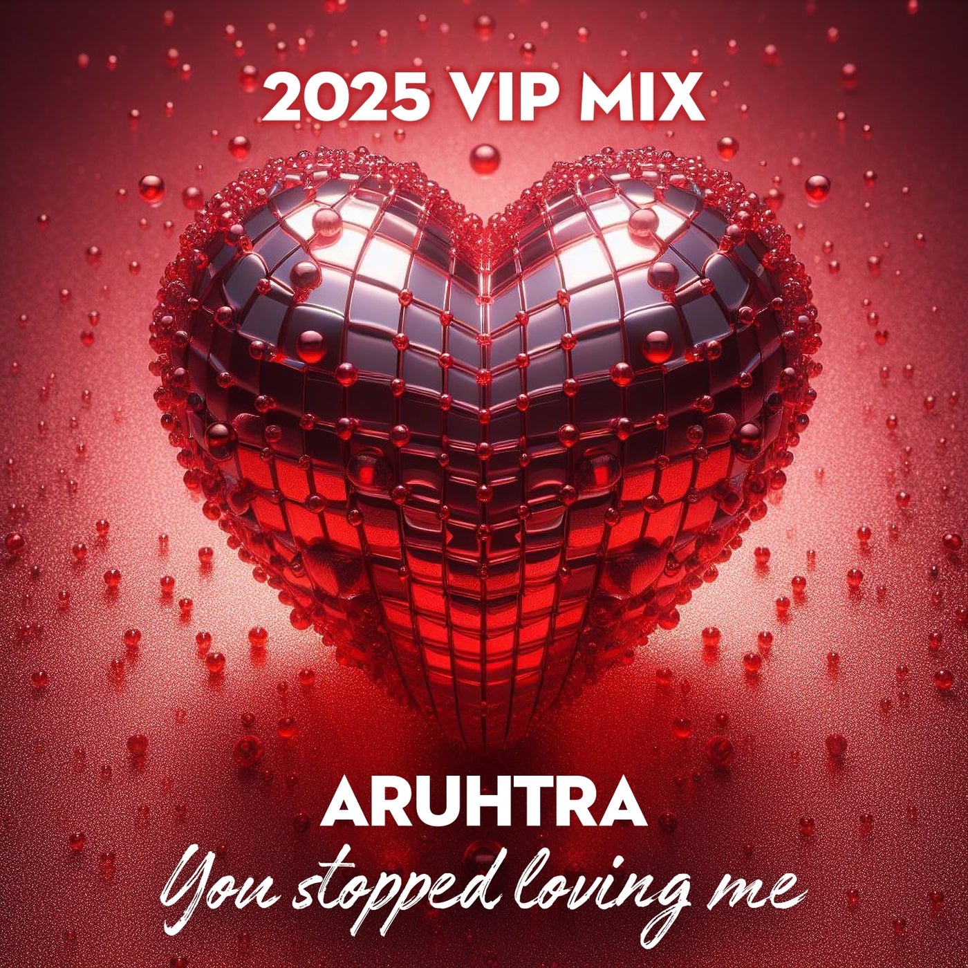 You Stopped Loving Me 2025 VIP Remix