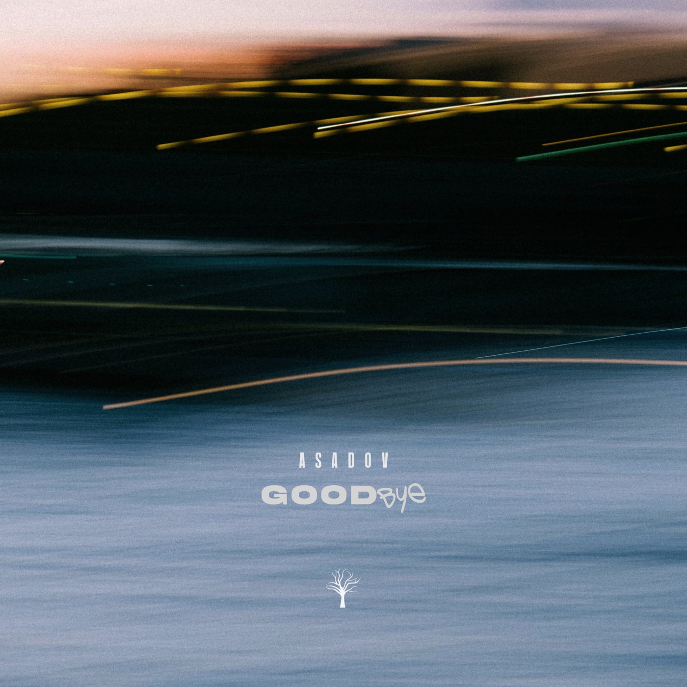 Goodbye