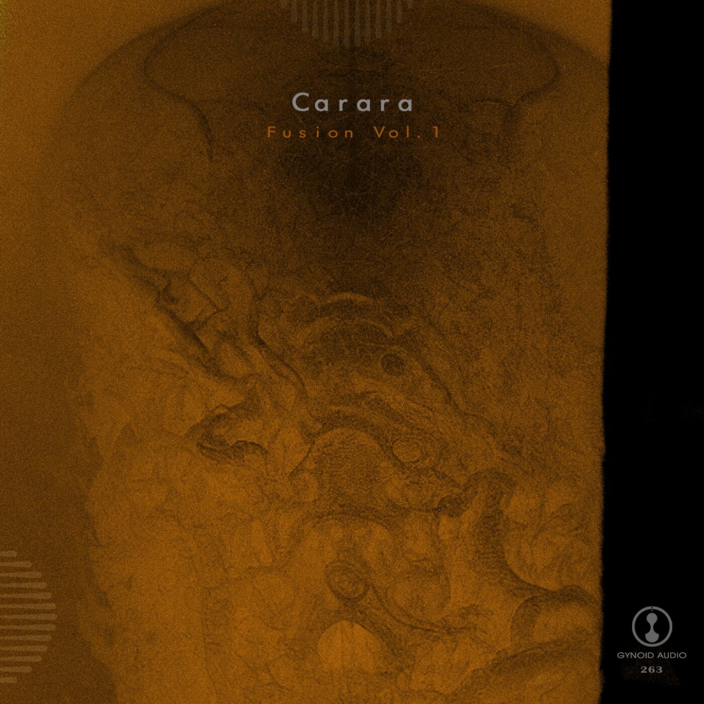 Fusion, Vol. 1