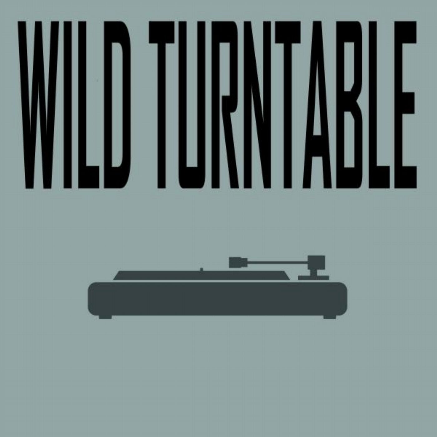 Wild Turntable