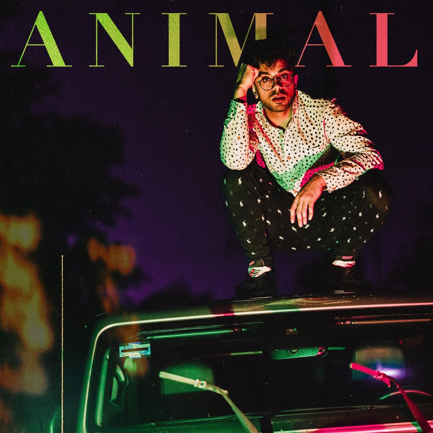 Animal