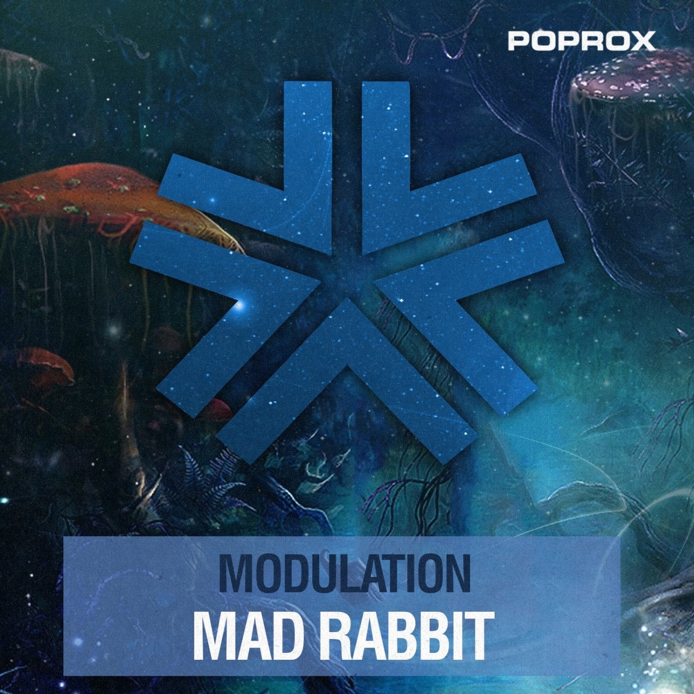 Mad Rabbit