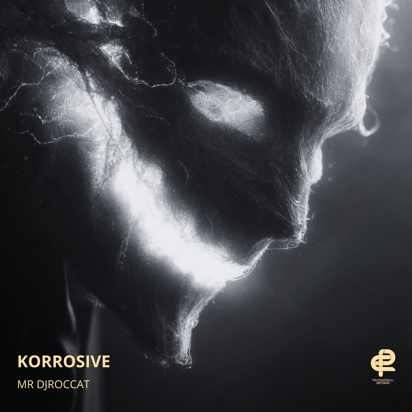 Korrosive