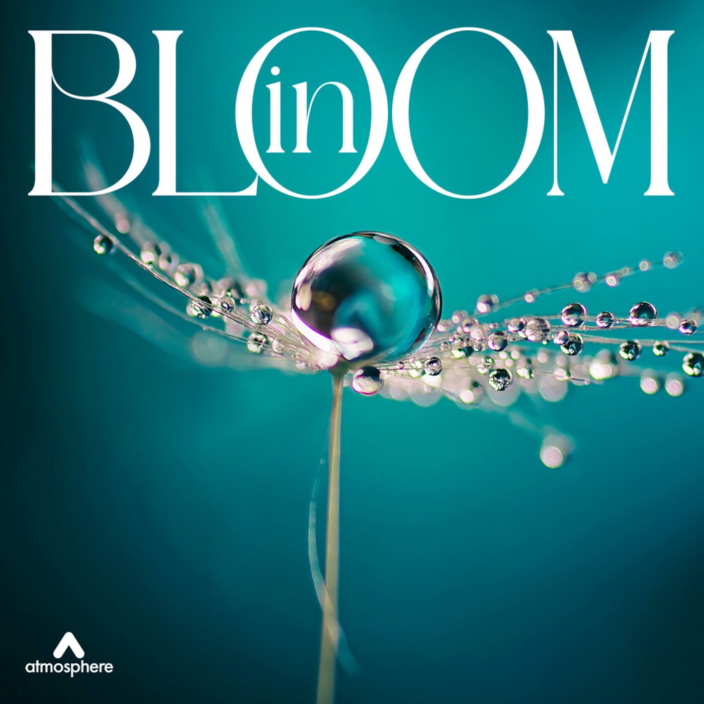 In Bloom