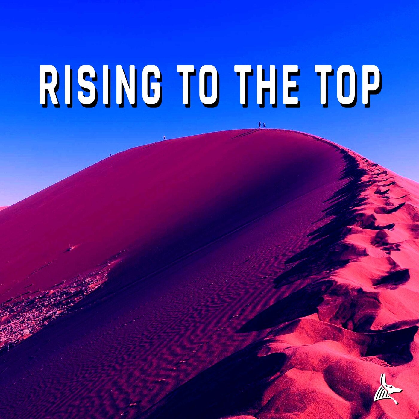 Rising to the Top