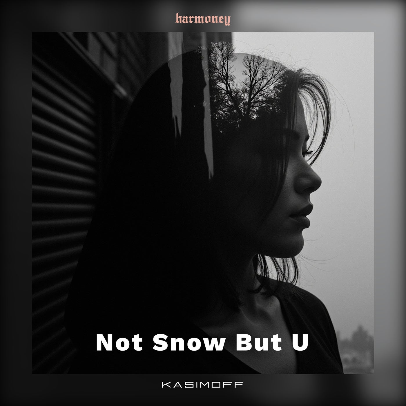 Not Snow But U