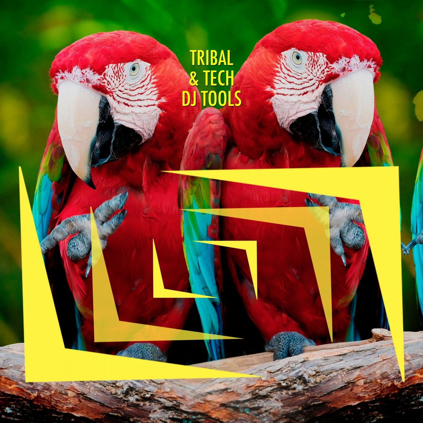 Tribal & Tech DJ Tools