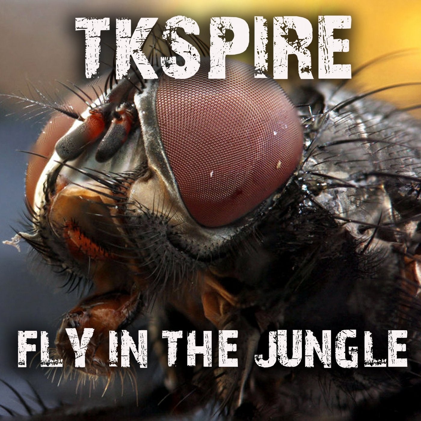 Fly in the Jungle