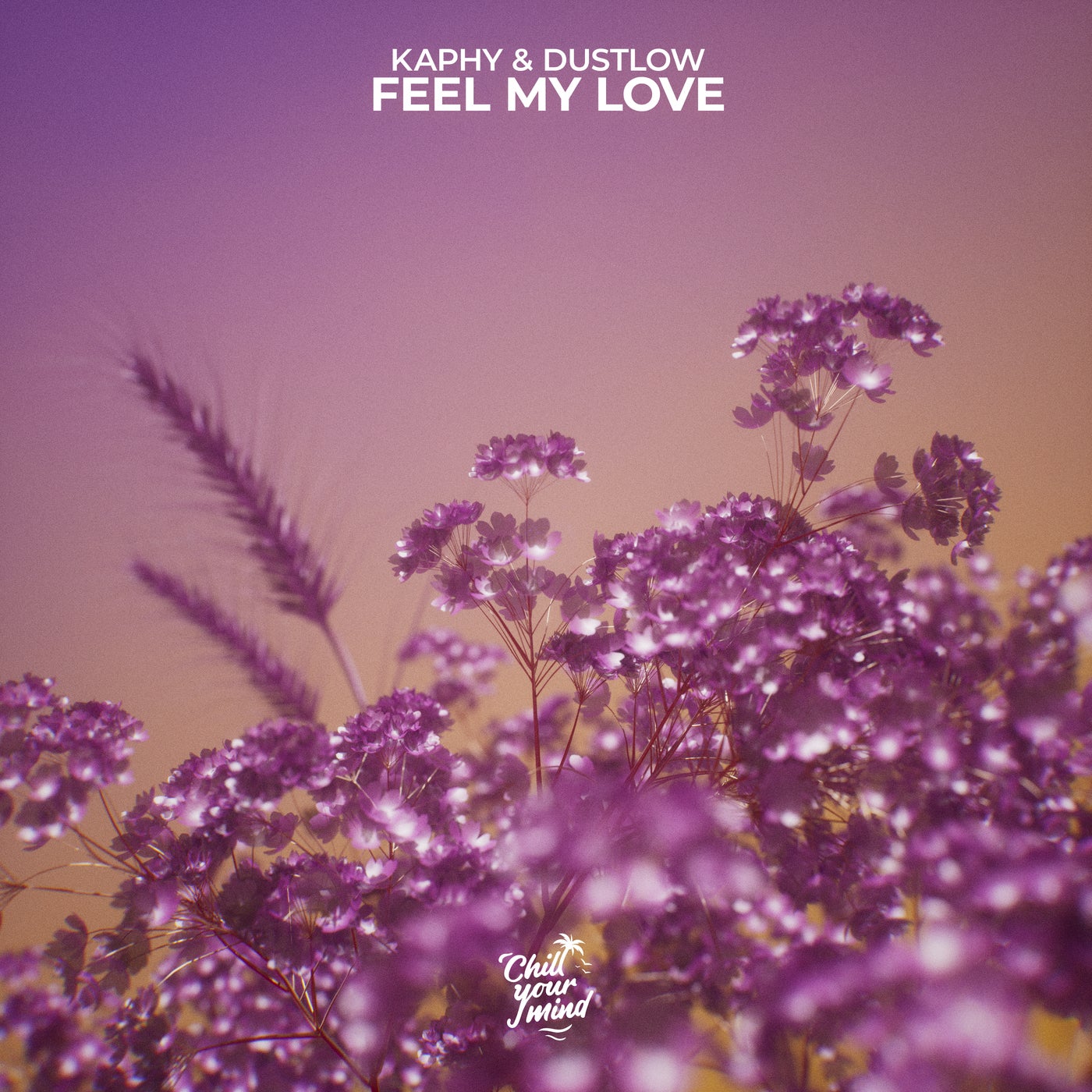 Feel My Love