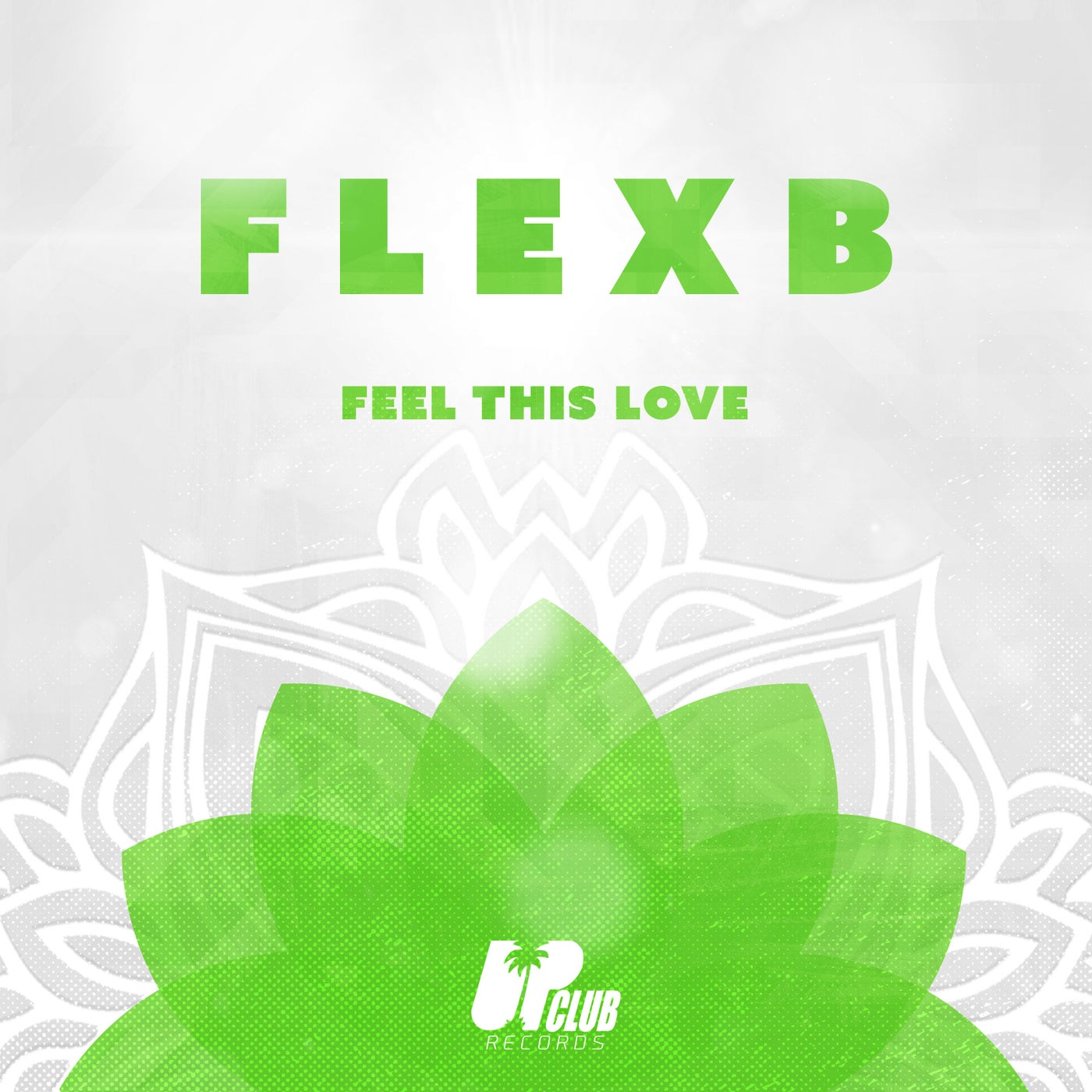 Feel This Love (Extended Mix)