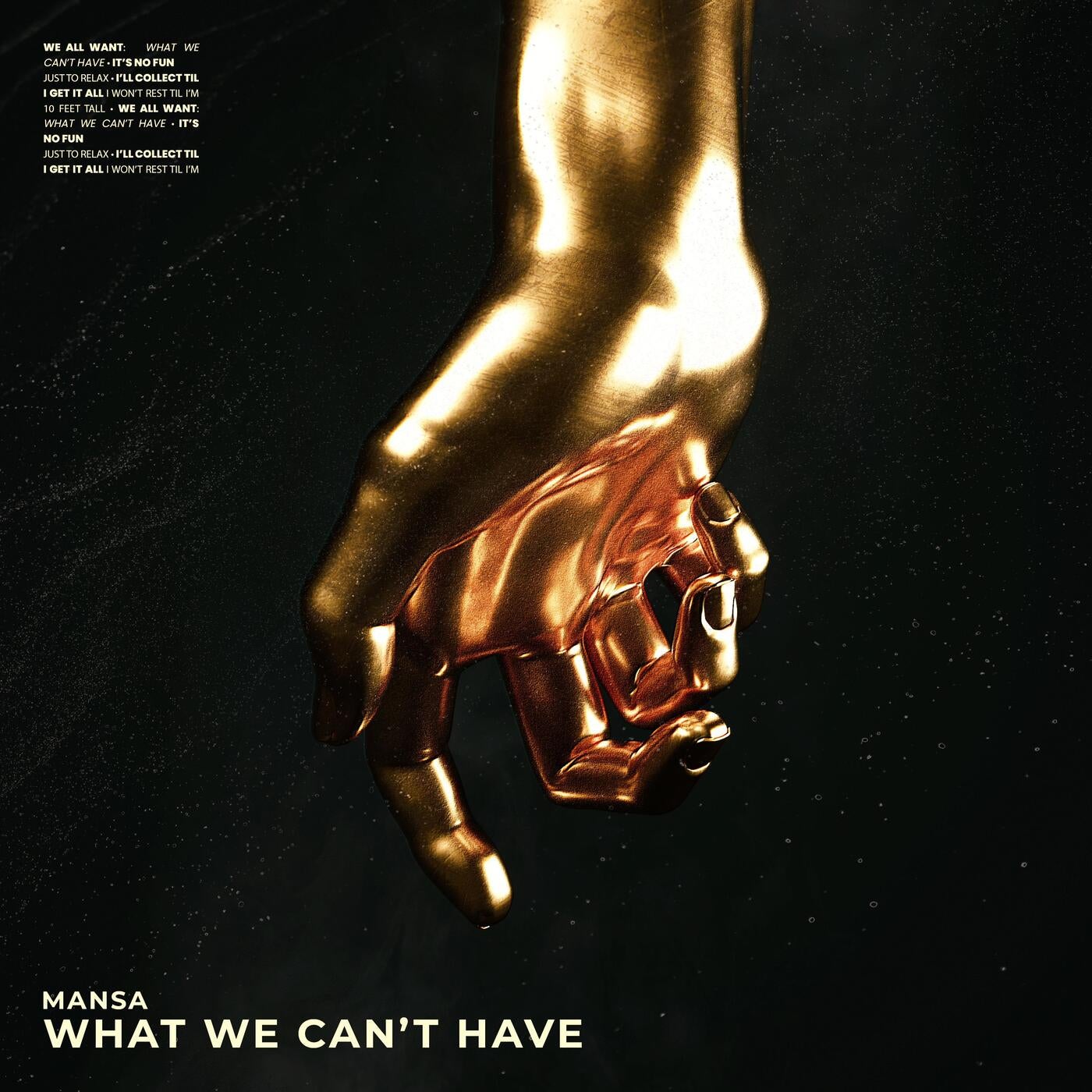 What We Can't Have