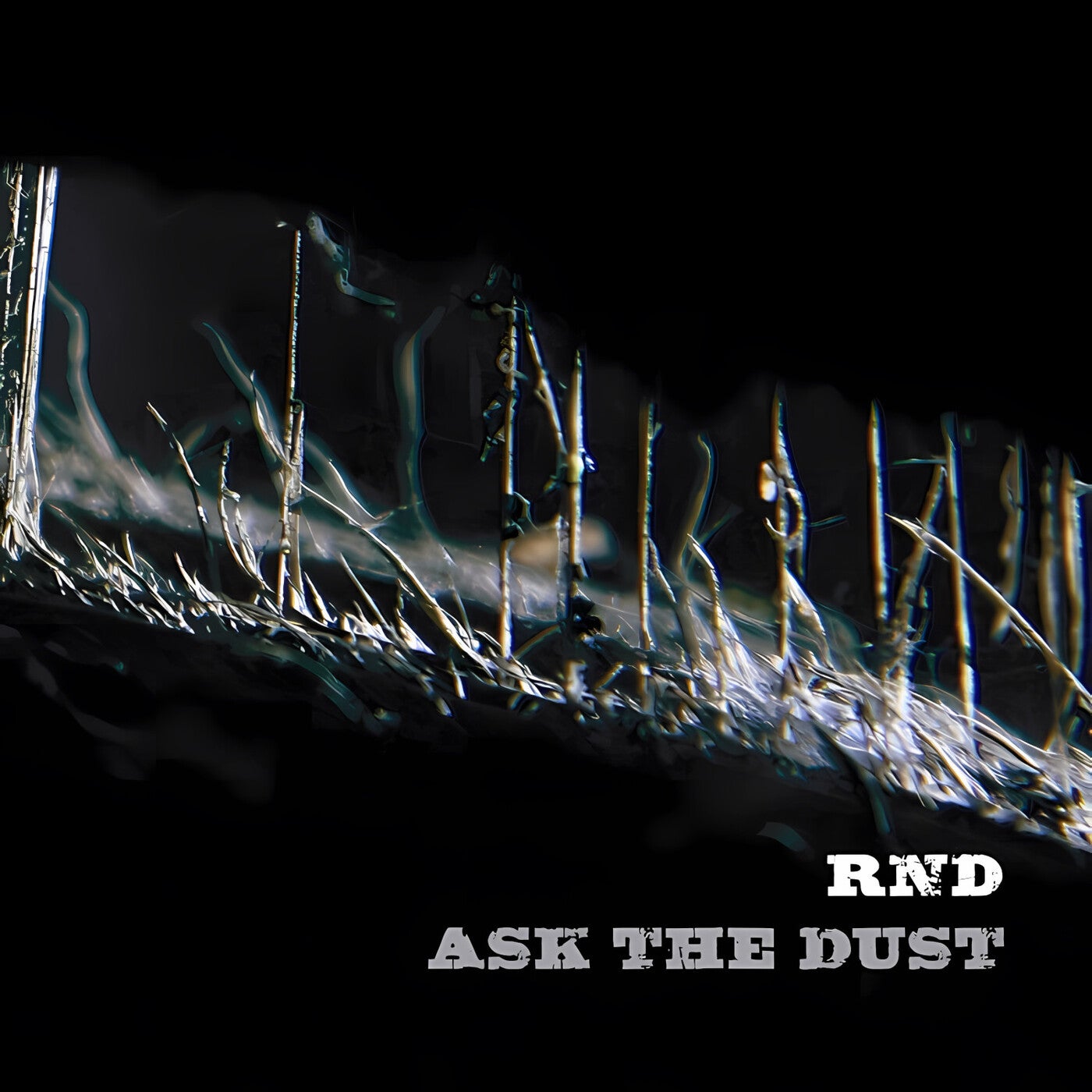 Ask The Dust