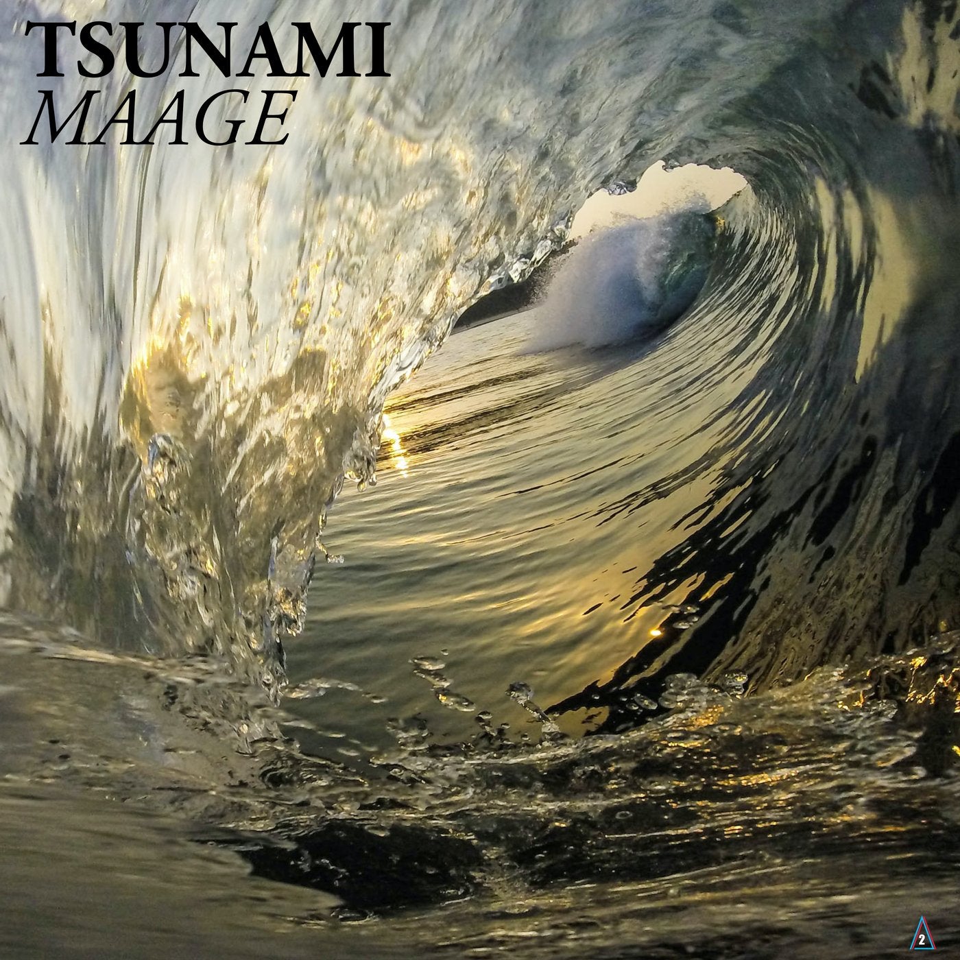 Tsunami