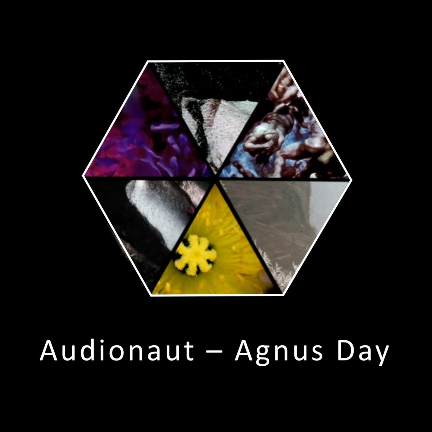 Agnus Day