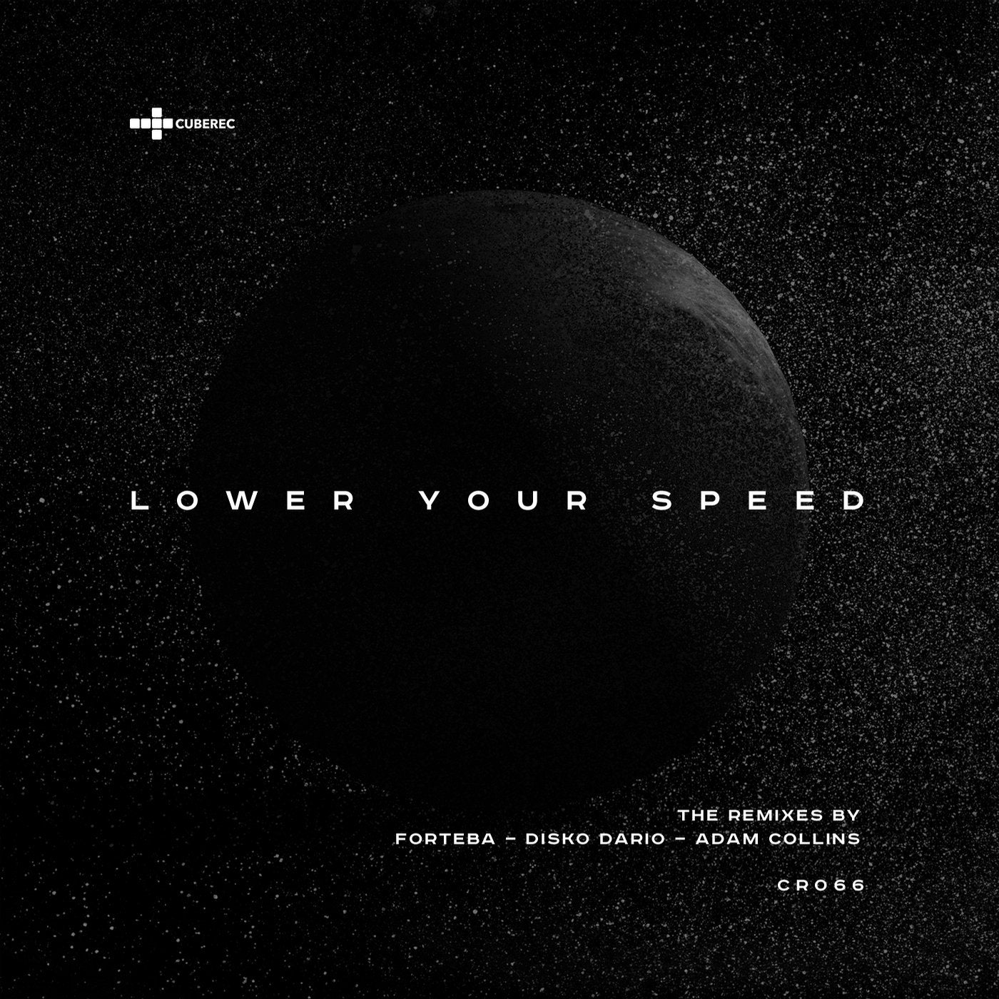 Lower Your Speed - the Remixes