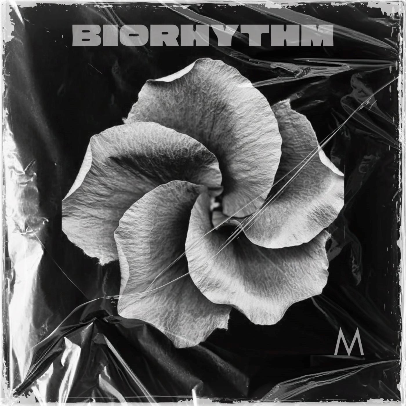 Biorhythm