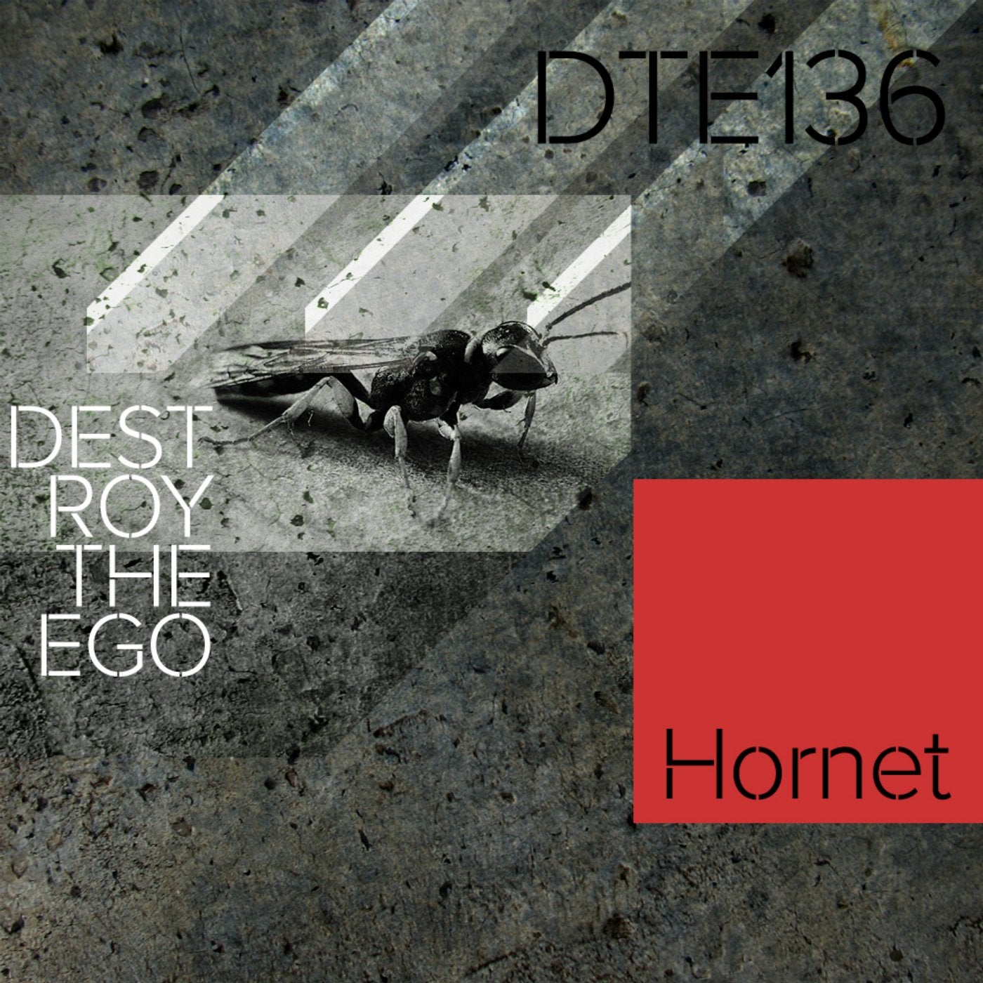 Hornet