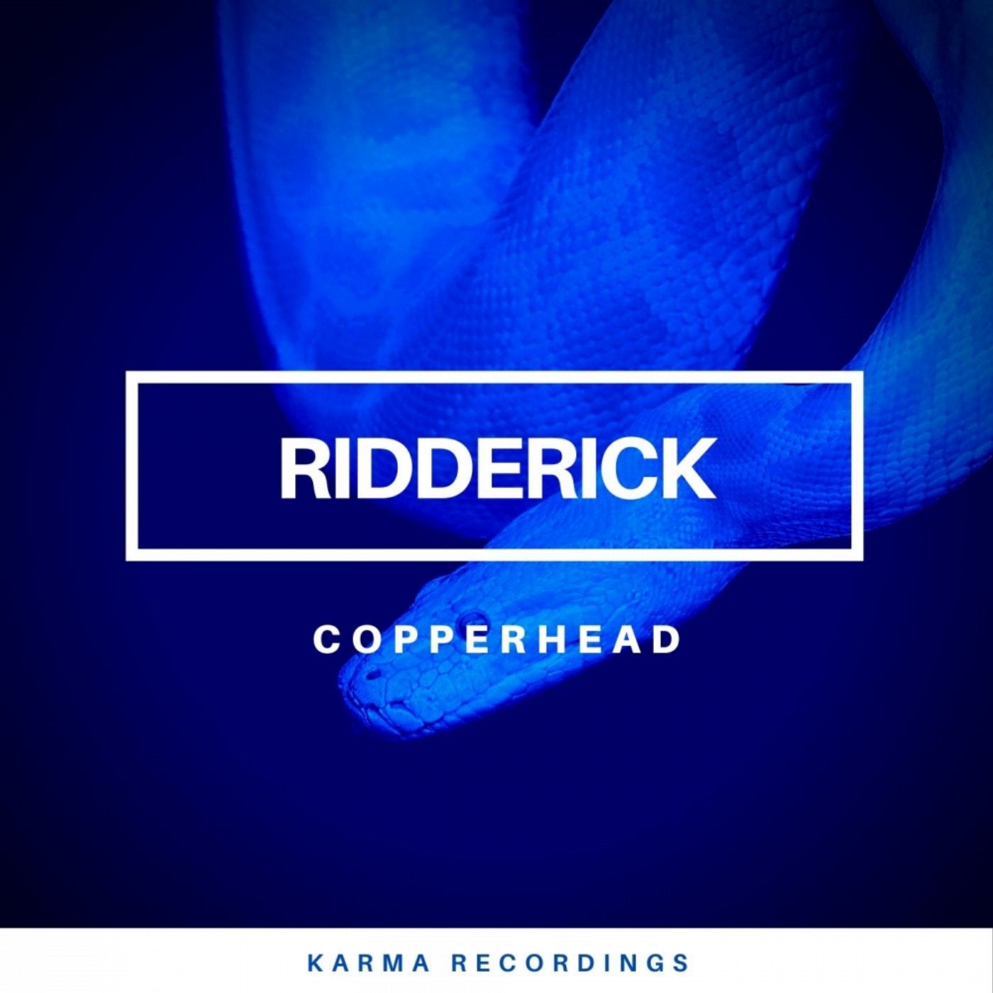 Ridderick music download - Beatport