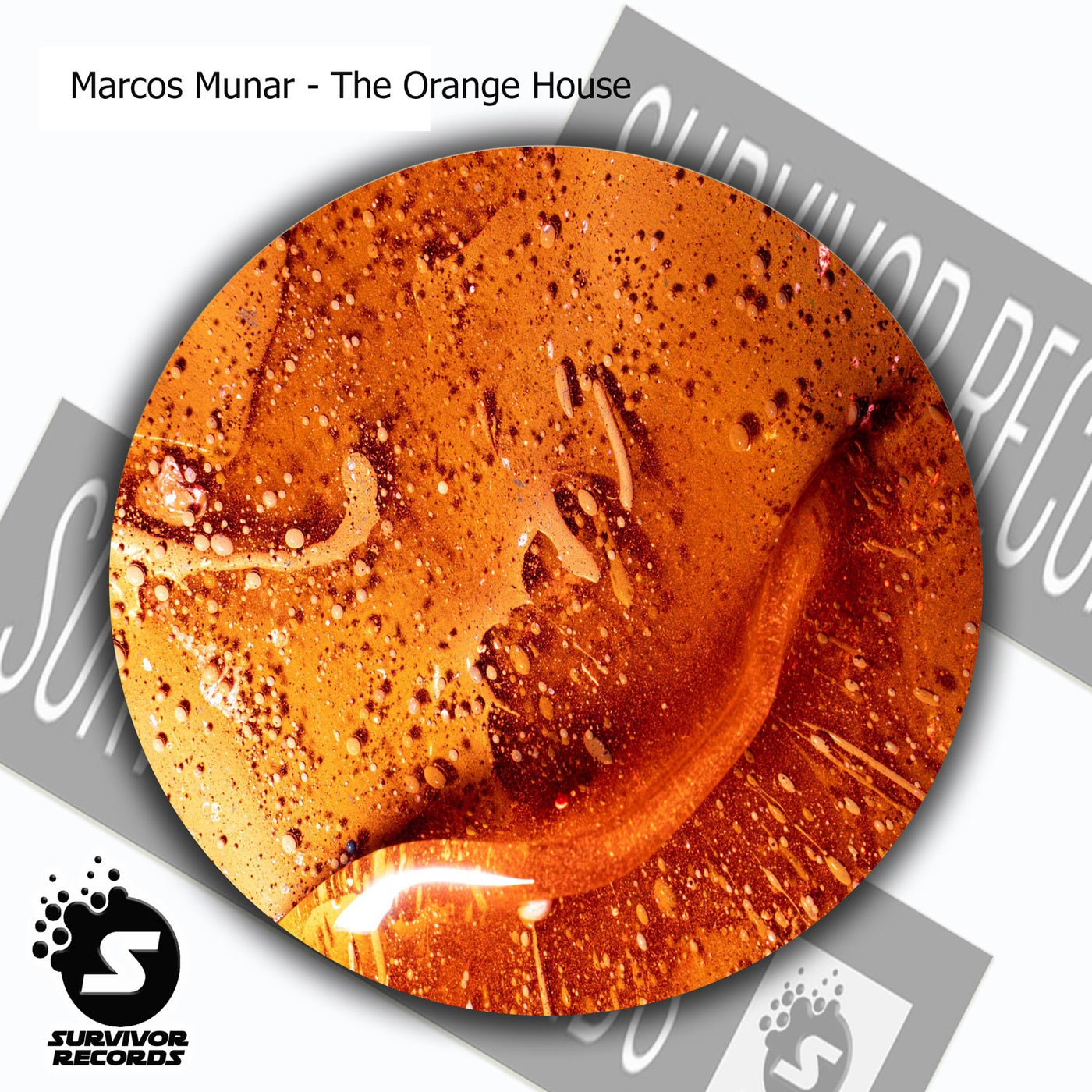 The Orange house