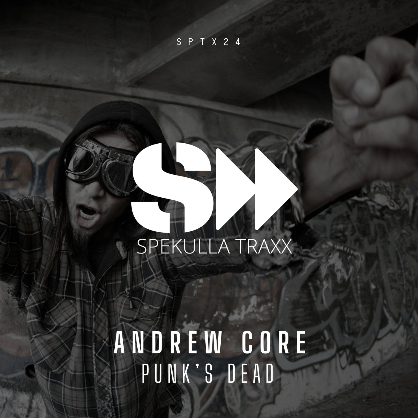 Punk's Dead