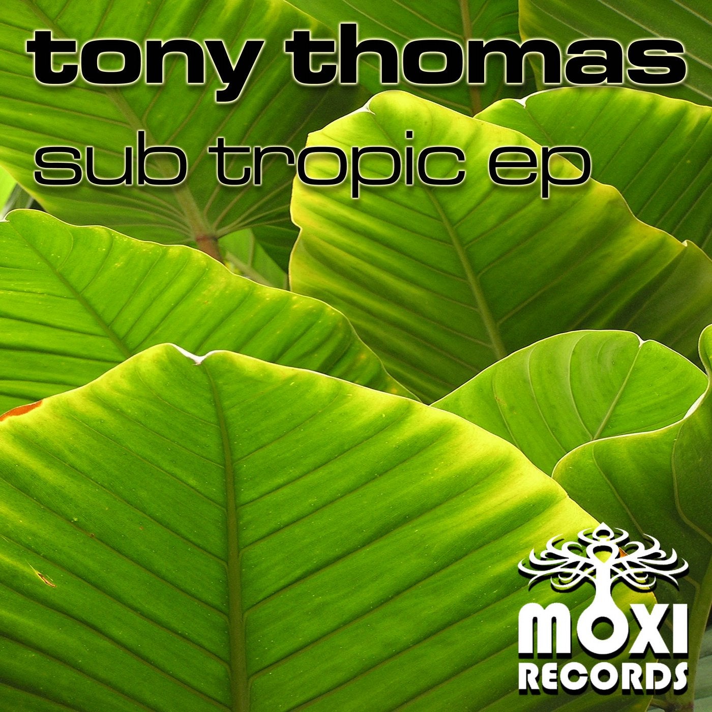 Sub Tropic EP