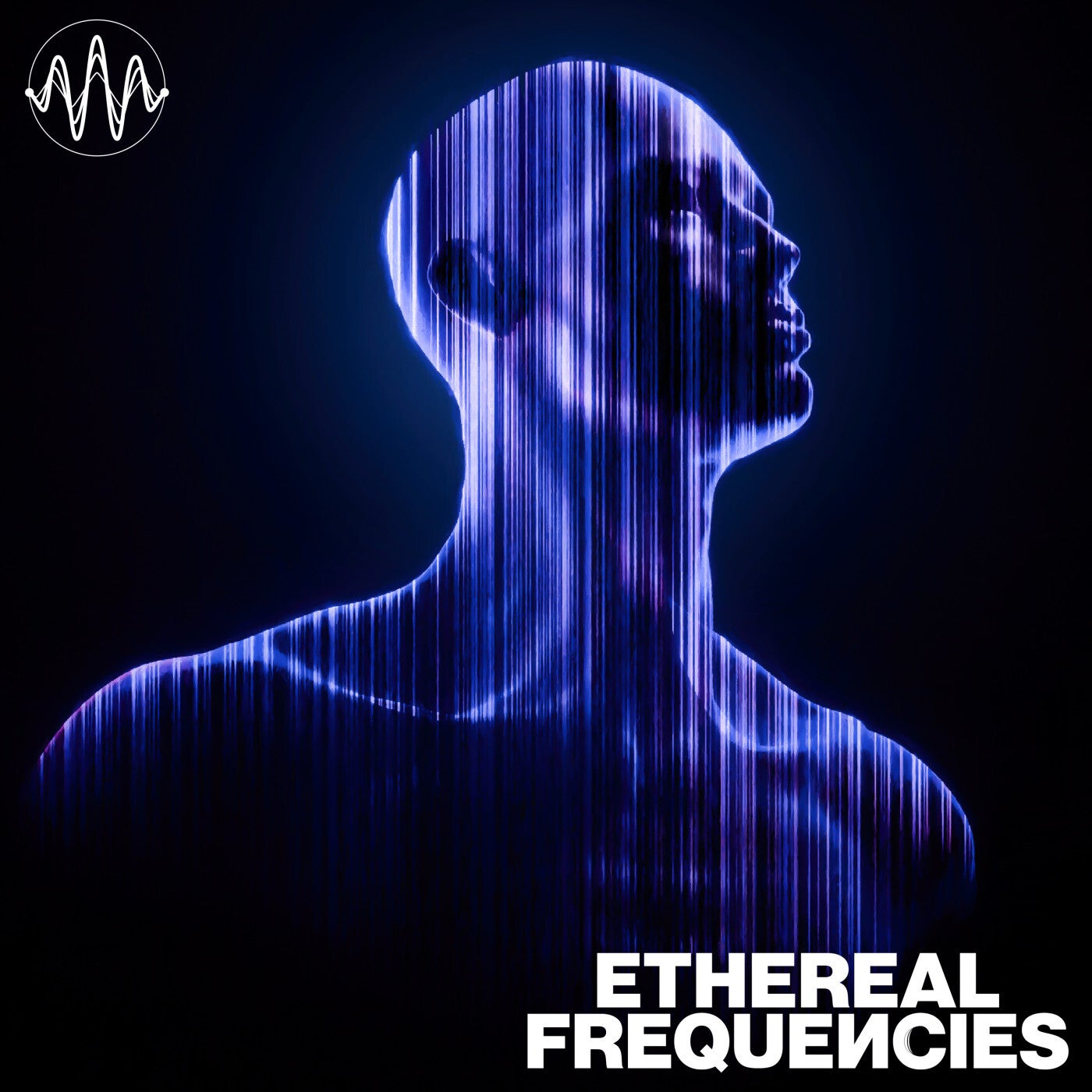 Echoes From The Otherworld