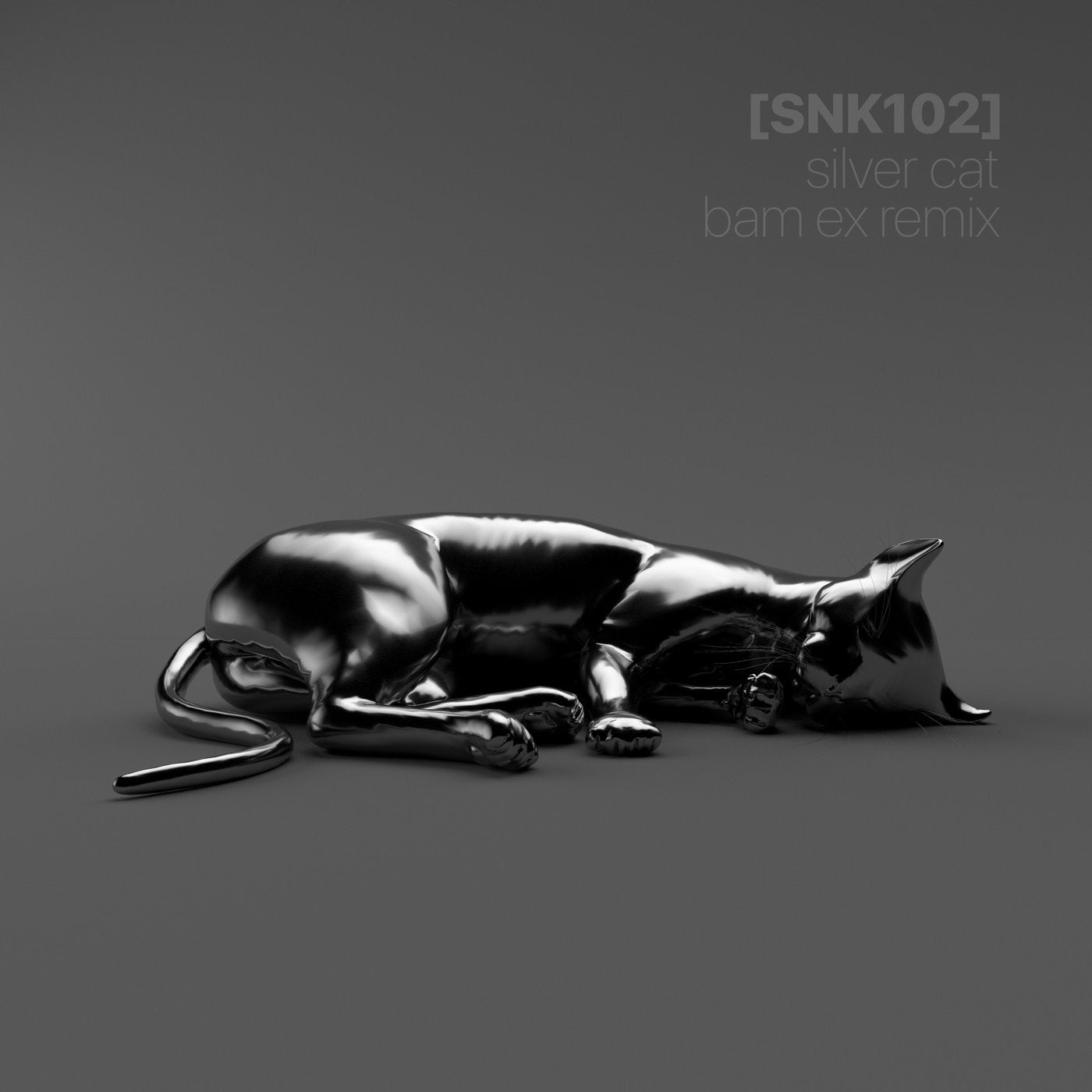 Silver Cat (Bam Ex Remix)