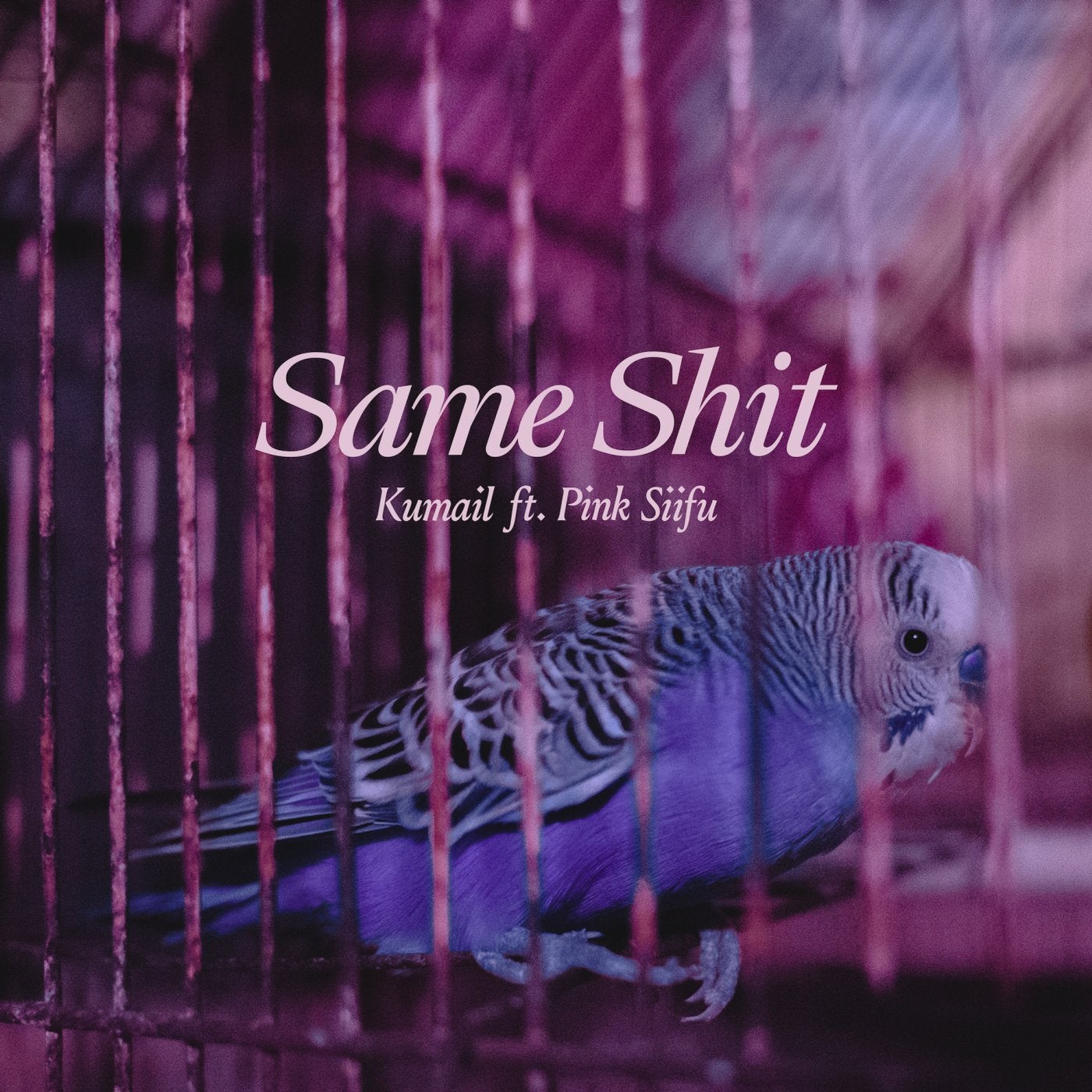 Same Shit (feat. Pink Siifu)